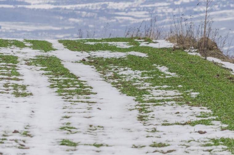 A mezőgazdaságnak jót tesz az enyhe idő